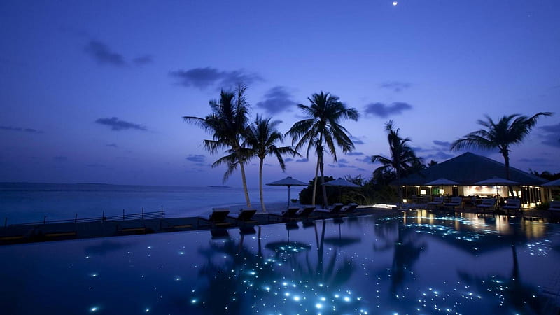 moon in the sky stars in the pool, resort, moon, pool, night, palms, HD wallpaper