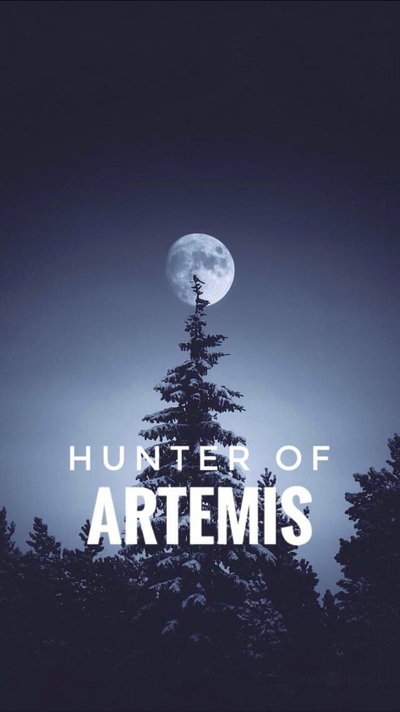 hunters of artemis percy jackson