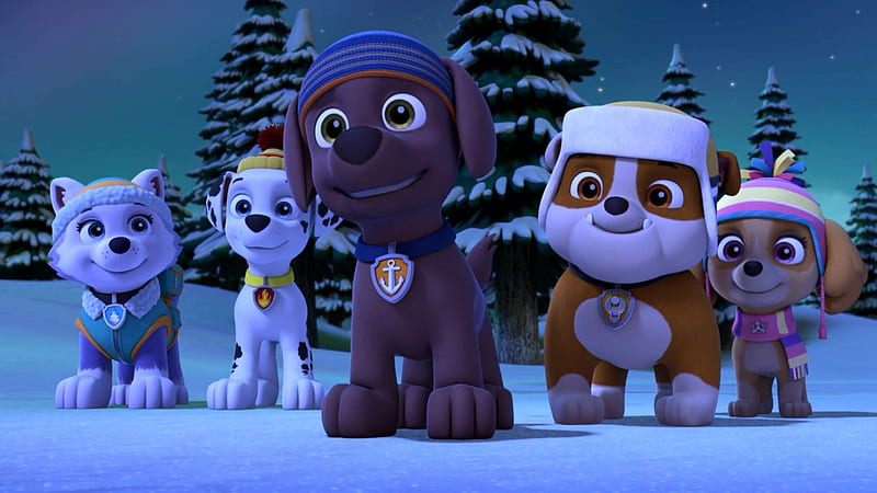 Rocky & Marshall, Paw Patrol Relation Ship Wiki