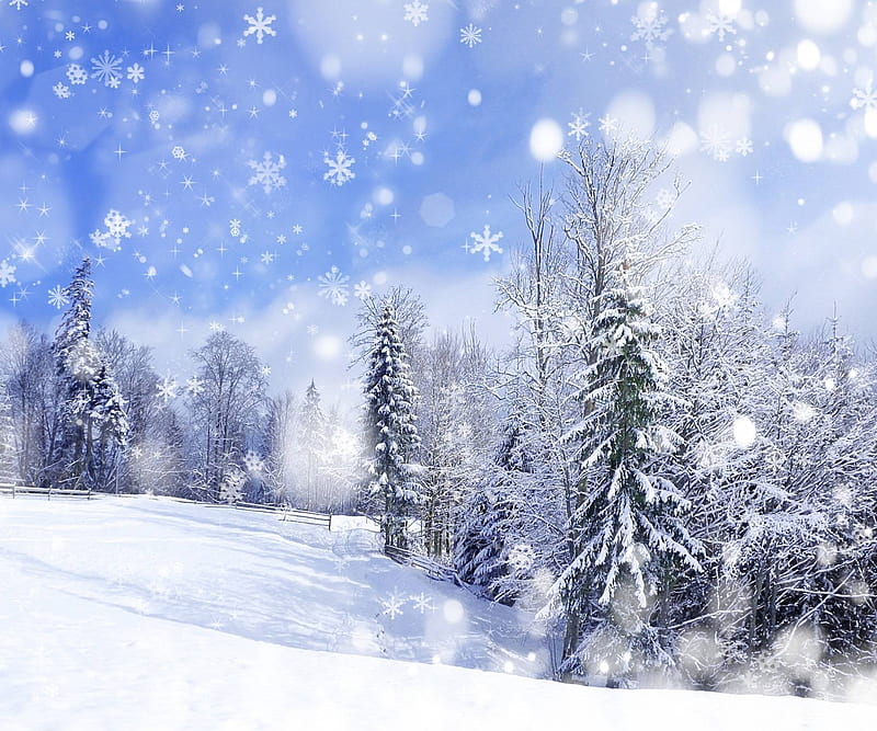 Winter, nature, snowfall, HD wallpaper