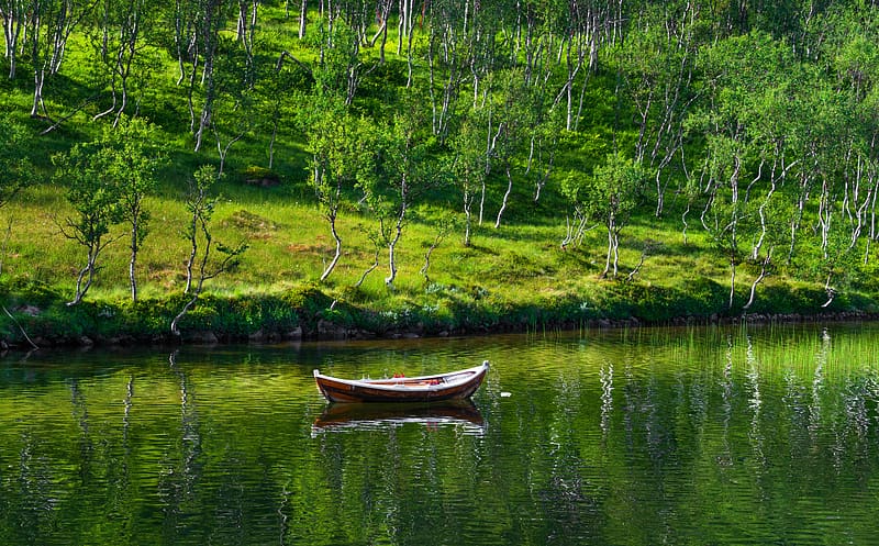 Norway in the Summer Ultra, Europe, Norway, Nature, Landscape, Green, Trees, Lake, Wooden, Tree, Water, Calm, graphy, Nordic, Sony, Mirror, Boat, Still, Outdoors, Reflection, Natural, Traditional, viking, Alpha, Fjord, Norwegian, visit, landscapegraphy, troms, scandinavia, sonyalpha, calmwater, a7riii, sonynordic, arcticcircle, fjordlake, mirrorwater, norwegianboat, rdsand, stillwater, stonglandseidet, traditionalboat, trany, vikingboat, visittonorway, woodenboat, HD wallpaper