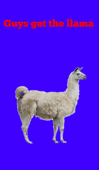 Llama Fortnite 4K Phone iPhone Wallpaper #6120a