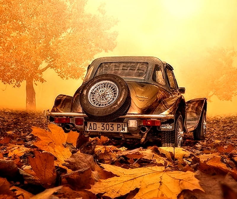 1920x1080px, 1080P free download | Car in Autumn, Leaves, Car, Autumn ...