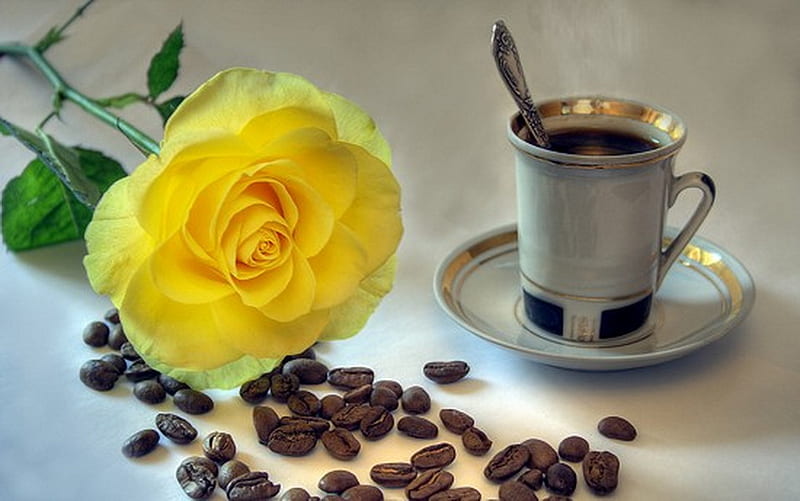 To start your day, coffee, spoon, rose, yellow, cup, coffee beans, HD wallpaper