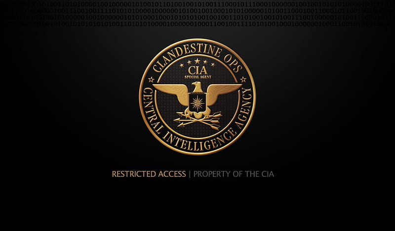 CIA, log in screen, logo, abstract, HD wallpaper