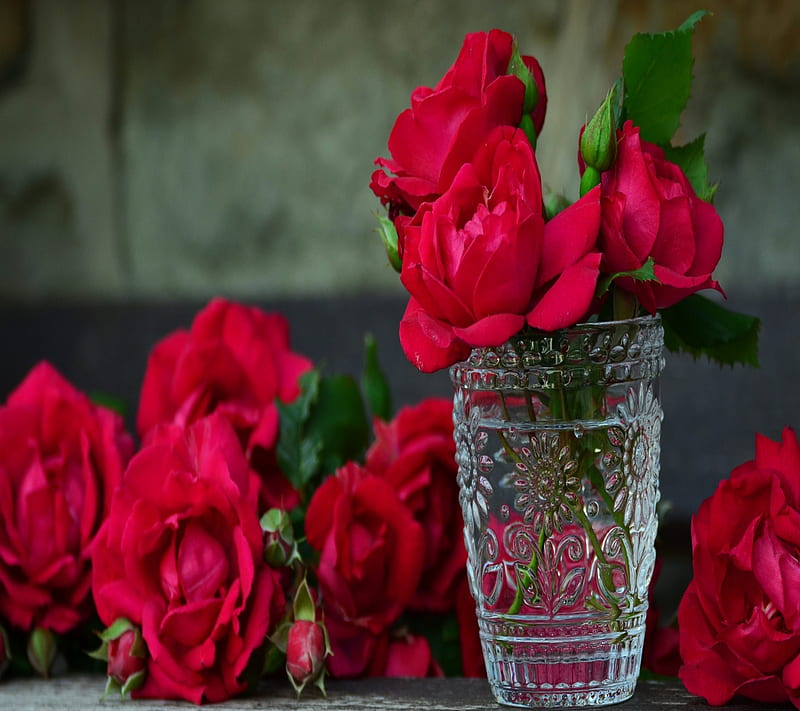 red roses, background, gift, glass, love, nature, vase, HD wallpaper