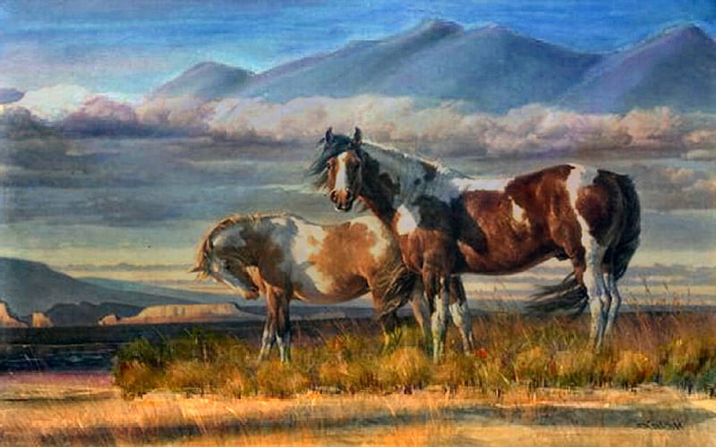 Paints on the Plains 2, art, equine, plains, horse, wild life, artwork, paints, pintos, painting, wide screen, HD wallpaper