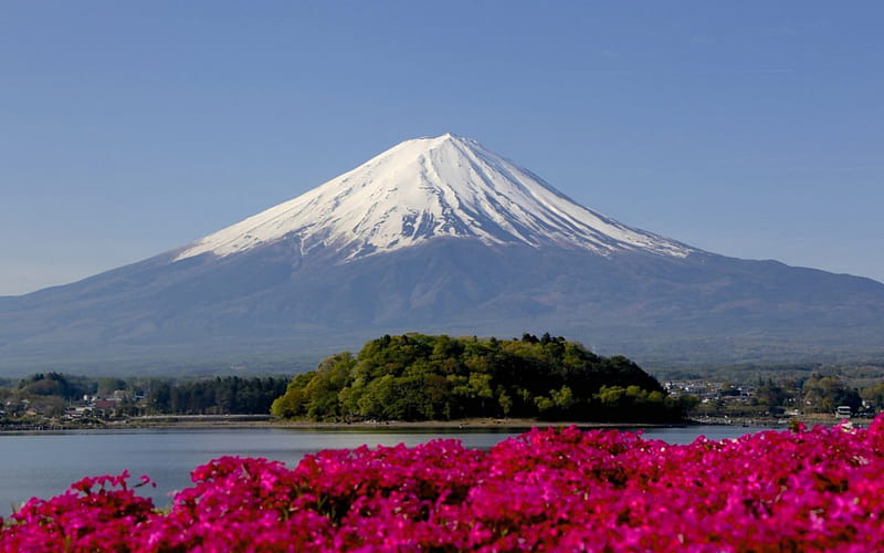 Mt. Fuji, mountain, japan, japanese, flowers, spring, lake, fuji, HD wallpaper
