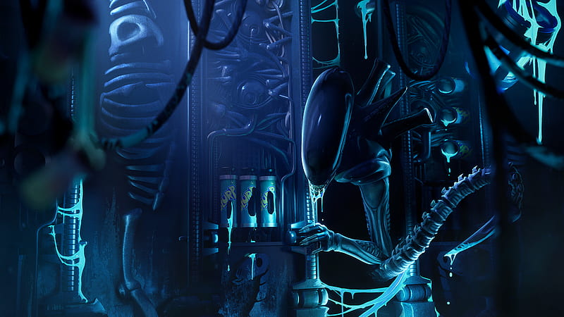 Alien Xenomorph Fortnite, HD wallpaper