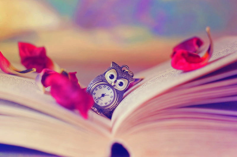 ✫Bookmark of the Time✫, book, softness beauty, bonito, bookmark, still life, graphy, flowers, petal roses, lovely, love four seasons, creative pre-made, clock, abstract, cute, times, petals, beloved valentines, owl watch, HD wallpaper
