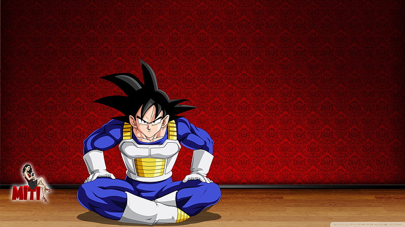 By Miti Ultra Background for U TV : Tablet : Smartphone, Goku Sunset, HD wallpaper