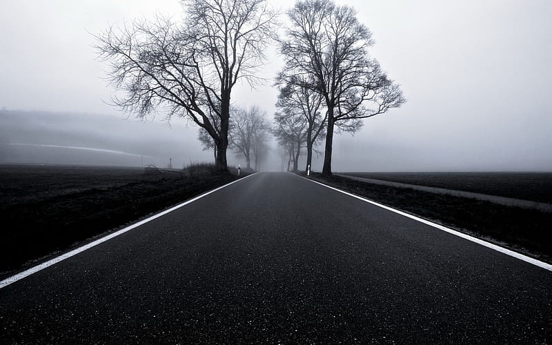 blacktop in black and white, blacktop, black and white, road, trees, fog, HD wallpaper