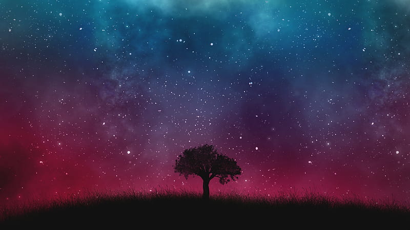 Starry night, red, stars, luminos, black, sky, silhouette, tree, fantasy, summer, pink, blue, HD wallpaper