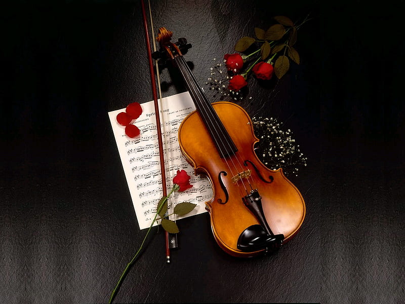 ROMANTIC LOVE NOTES, dedications, violin, romntic, symbol, notes, love, roses, HD wallpaper
