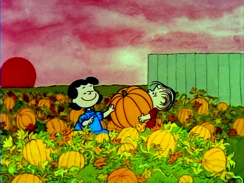 Great Pumpkin Patch, Fence, Linus, Lucy, Pumpkin, Clouds, Sun, HD wallpaper