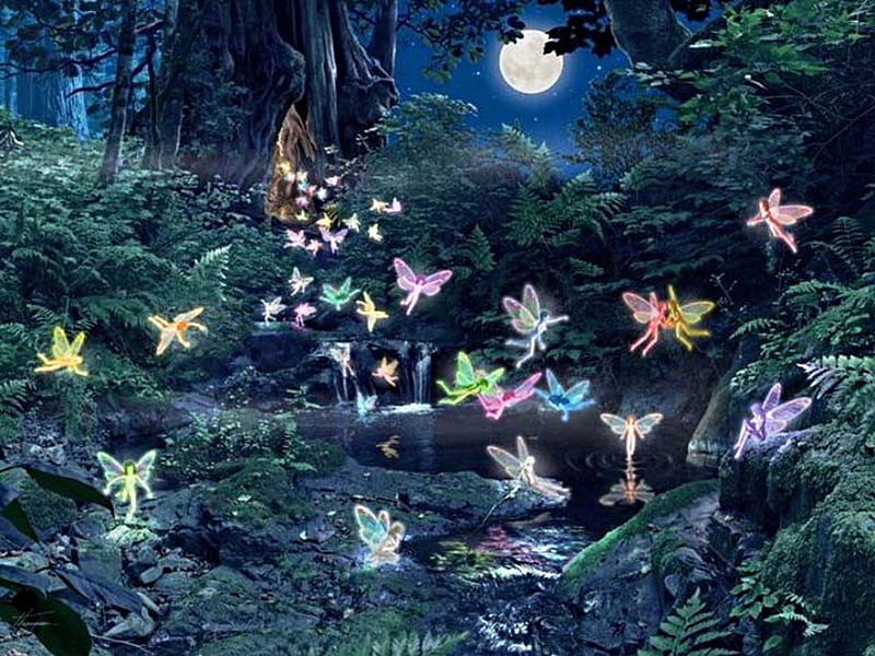 Fairies, forest, water, fairytales, dark, HD wallpaper