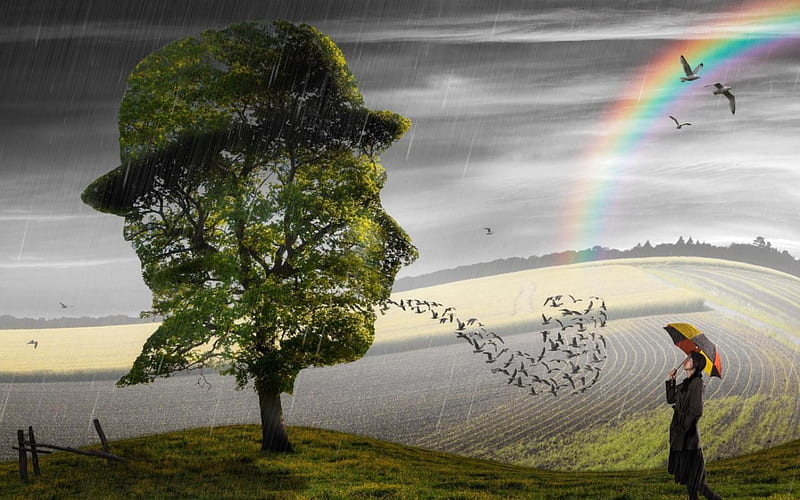 Fantasy, umbrella, spring, rainbow, woman, hat, tree, green, bird, manipulation, rain, HD wallpaper