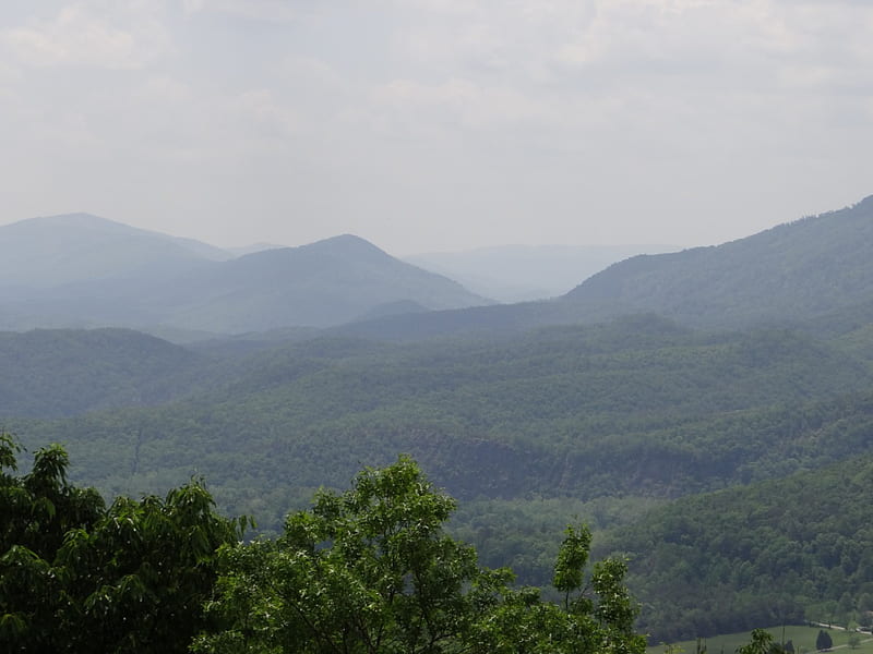 Appalachian Mountains of Virginia, Virginia, Mountains, Late Spring, Appalachian Mountains, HD wallpaper