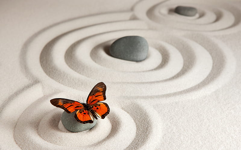 Animal, Butterfly, Monarch Butterfly, Sand, Stone, Zen, HD wallpaper
