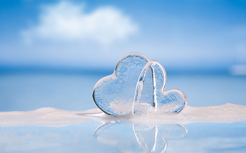 ice hearts, two hearts, water, forest, Valentine's Day, love concepts, cold hearts, HD wallpaper