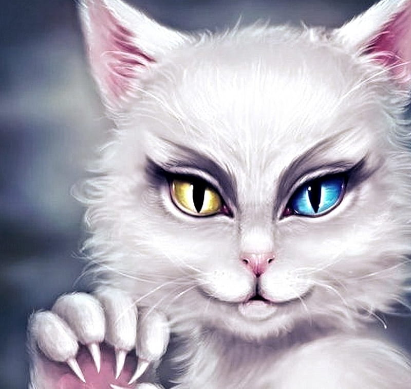 Free Download Cat Lady Cute Lady Art Cat HD Wallpaper Peakpx