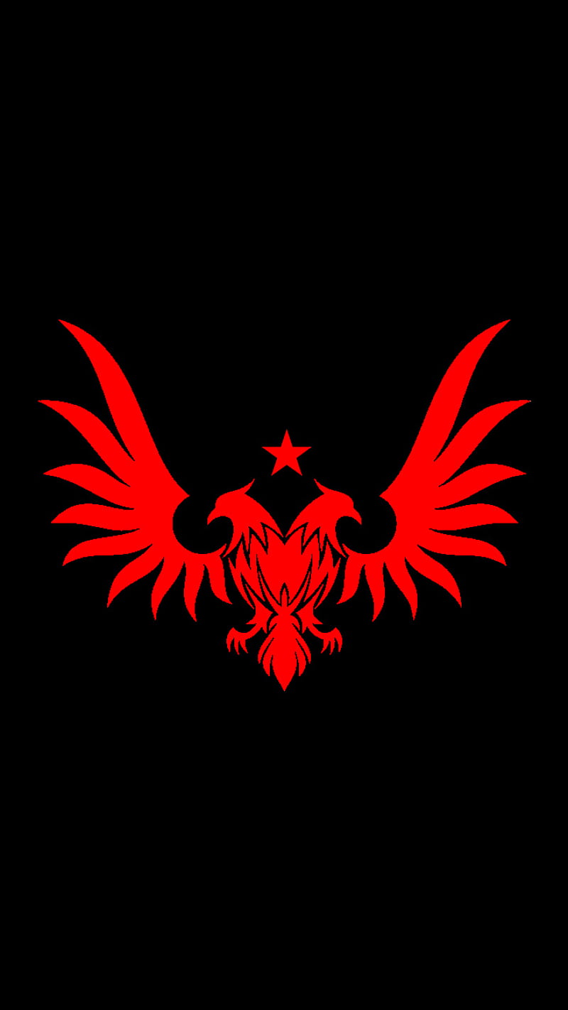 Kartal, black, center, doubled, eagle, headed, red, star, HD phone wallpaper
