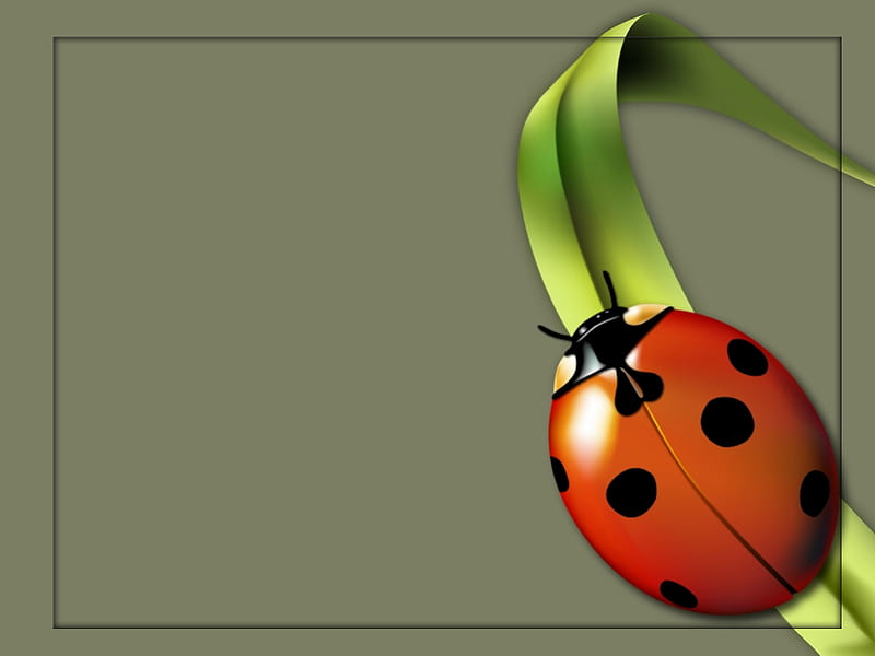 Lady bug, red, leaves, gray, green, square, black, HD wallpaper