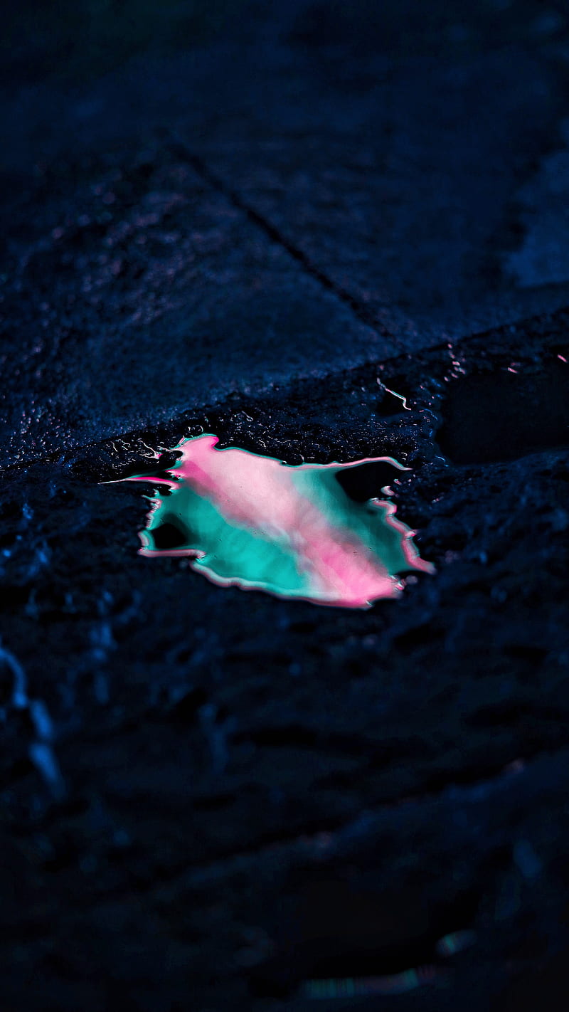 750 Puddle Pictures  Download Free Images on Unsplash