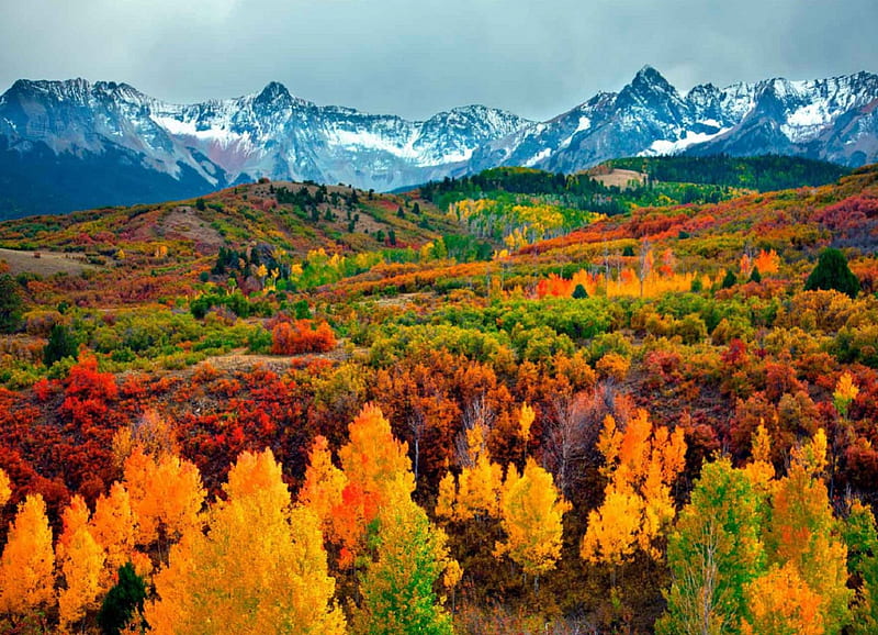 Colorado Winter Wallpaper 1080p rqP  Mountain landscape Desktop  background nature Winter wallpaper