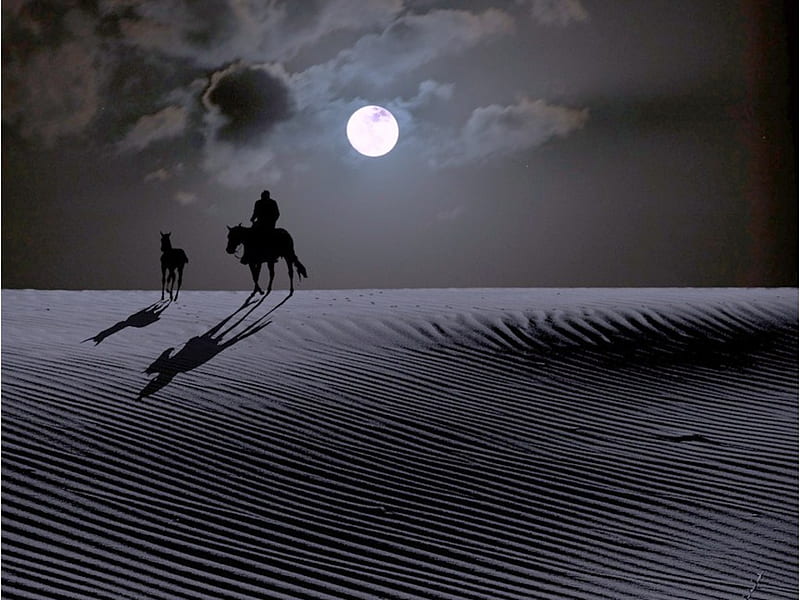 Heading Home, moon, desert, man foal, horse man, nicht, silhouette, clouds, abstract, HD wallpaper