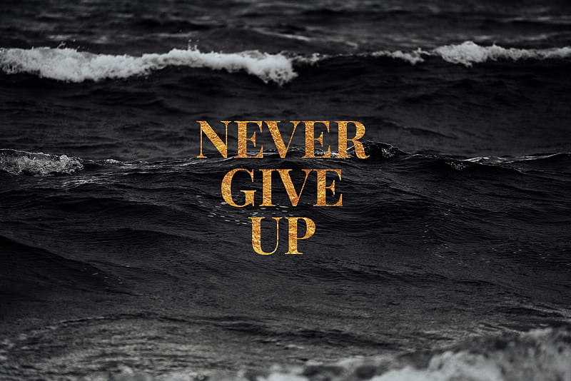 NEVER GIVE UP, quotes, sayings, HD phone wallpaper | Peakpx