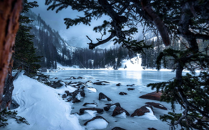 Winter wonderland in Rocky Mountain National Park, Colorado, trees, snow, usa, mountains, stones, HD wallpaper