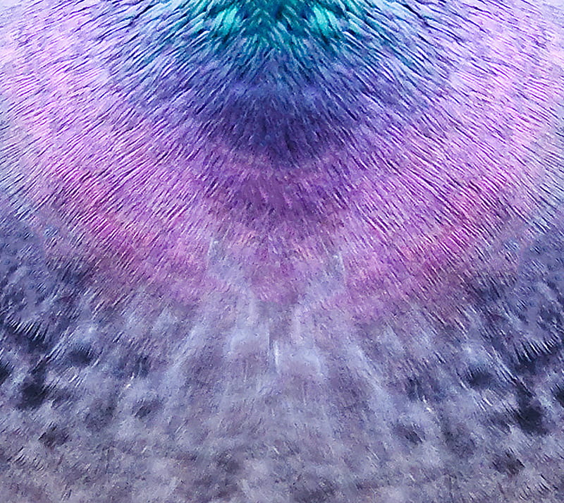Pigeon Skin, HD wallpaper