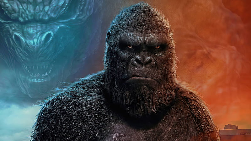 Kong Bows To No One Godzilla, HD wallpaper