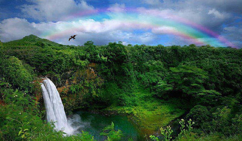 Delicate Rainbow Beauty, greenery, waterfall, nature, rainbow, valley, HD wallpaper