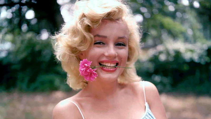 Smiley Marilyn Monroe Is Having Rose In Teeth In Blur Background Celebrities, HD wallpaper