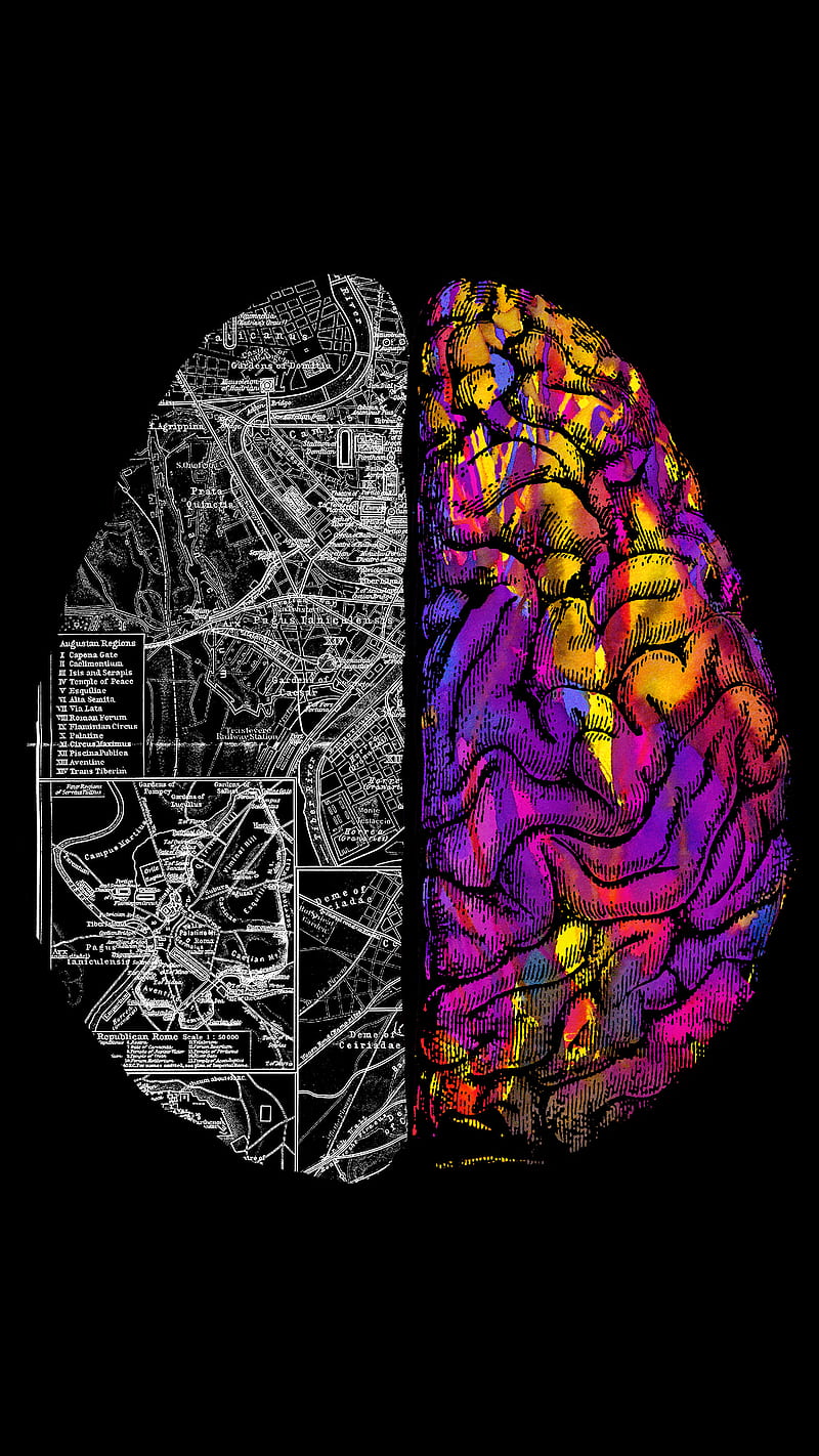 HD wallpaper: creative, brain, creativity, hemisphere, logic | Wallpaper  Flare