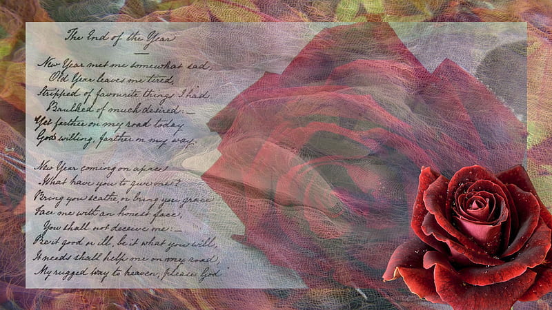 The End of the Year II, red, colorful, , rose, bonito, collage, fantasy, cool, poem, flower, nature, HD wallpaper