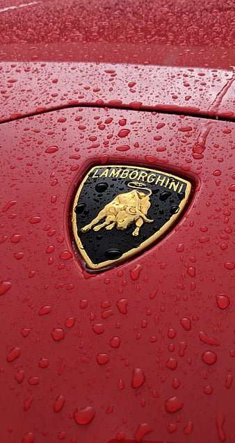 Lamborghini logo redesign by Nikita on Dribbble