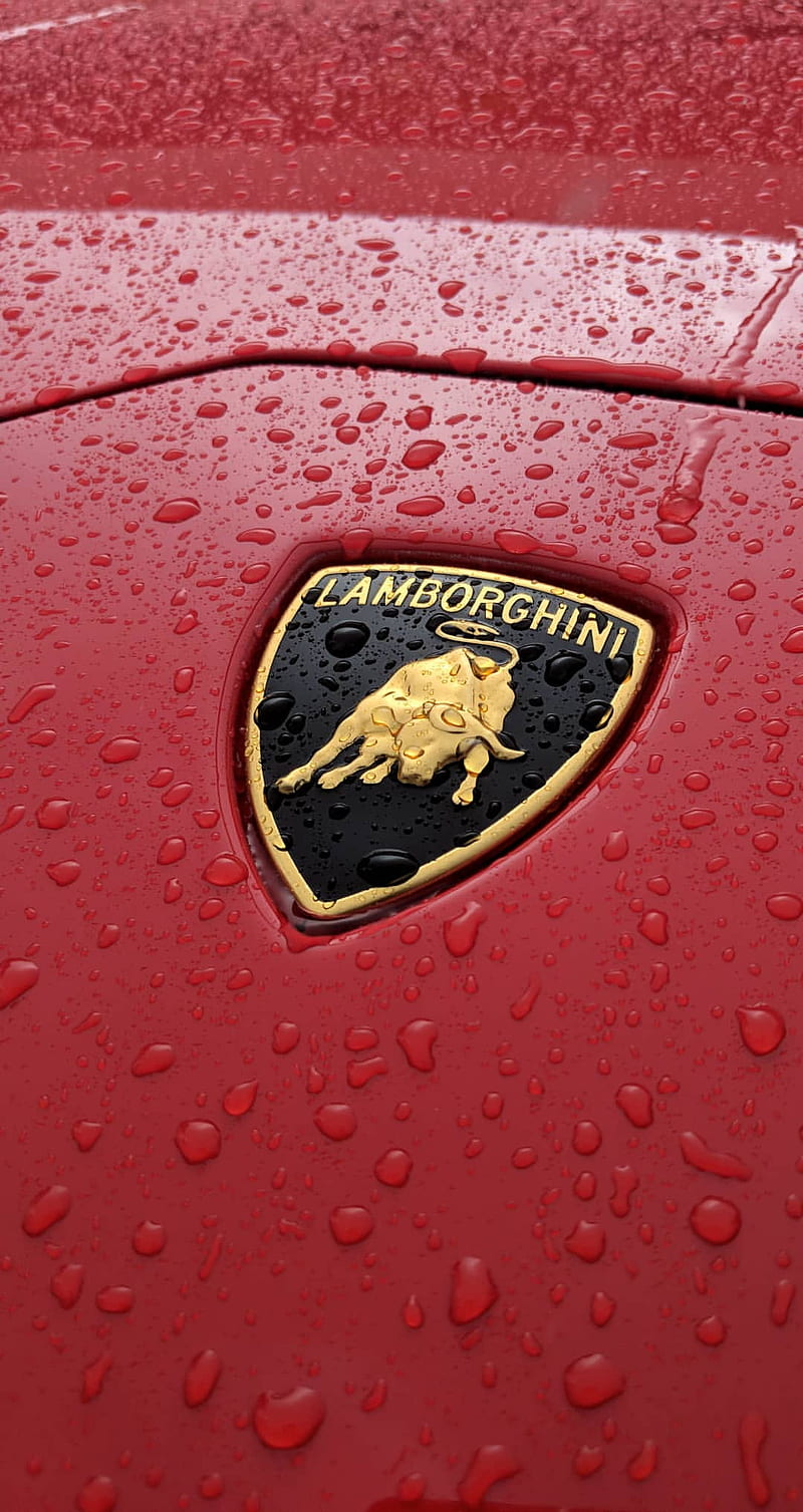 Lamborghini, badge, brand, drops, emblem, lambo, lamborghini logo, logo, luxury, red, HD phone wallpaper