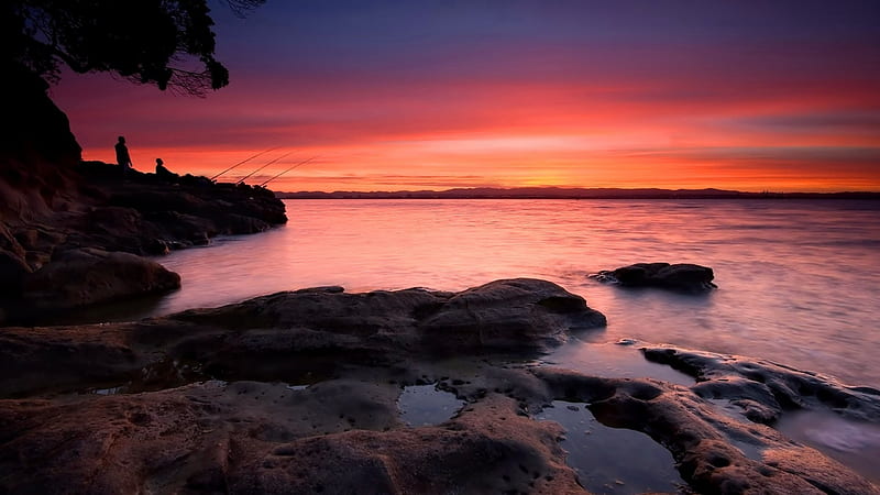 new zealand sunset, new, sunset, zealand, ocean, HD wallpaper