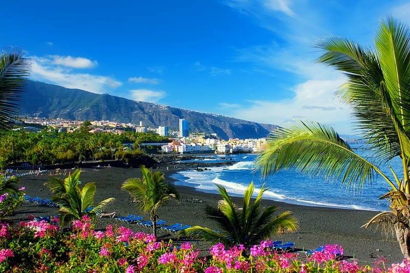 Rest on Tenerife island, resort, rest, vacation, exotic, travel, relax, bonito, Spain, palms, sea, beach, summer, island, sands, coast, HD wallpaper