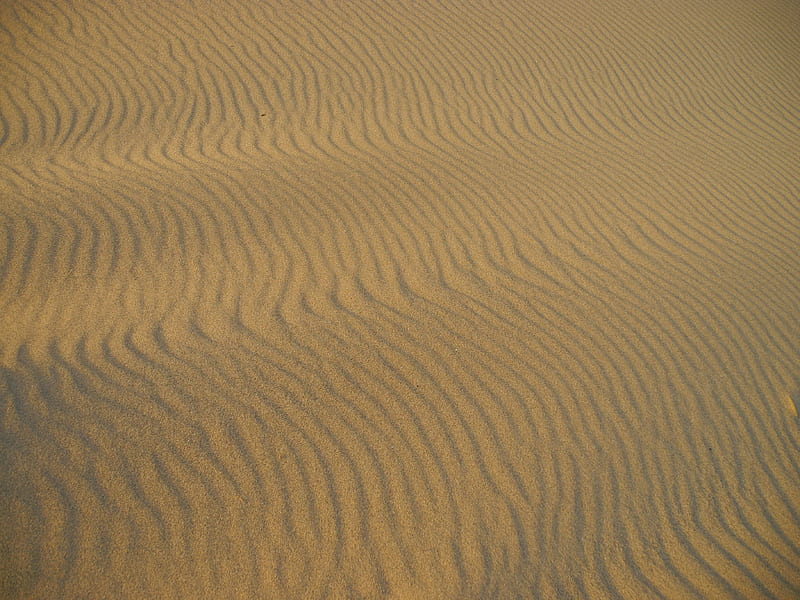 desert, sand, waves, surface, HD wallpaper