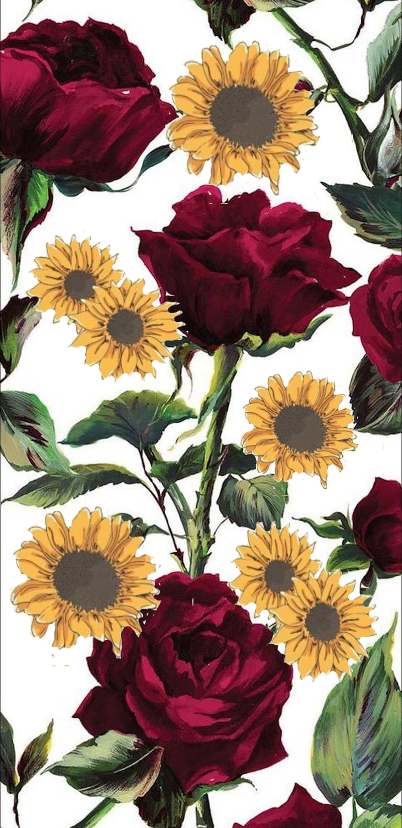 Top Imagen Rose And Sunflower Background Thpthoangvanthu Edu Vn