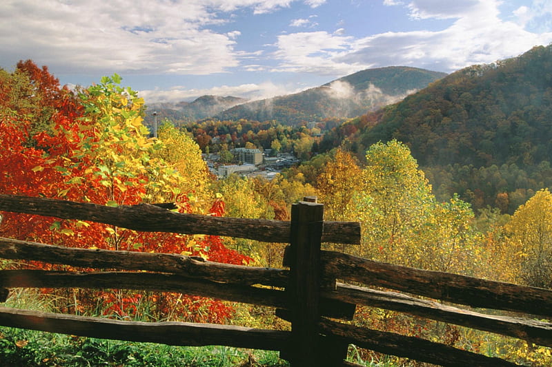Fall Colors of Gatlinburg Tennessee., fall, autumn, tennessee, gatlinburg, HD wallpaper