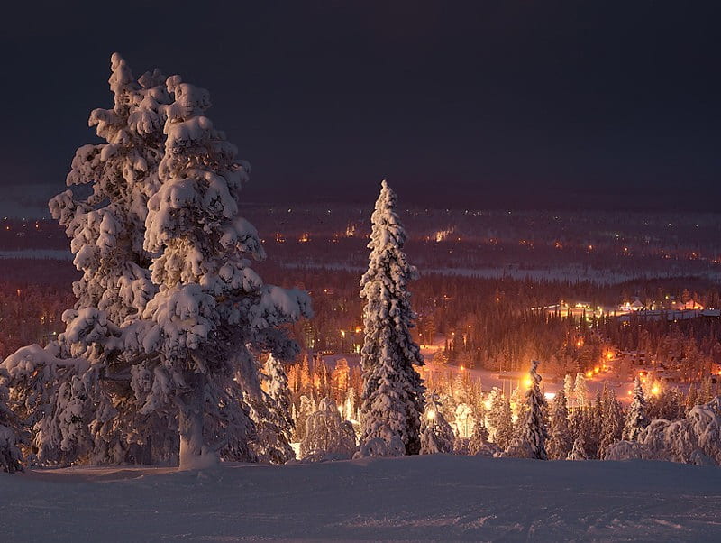 Cold Winters Night with a Warm Glow, pretty, snow, trees, lights, winter, valley, cold, HD wallpaper