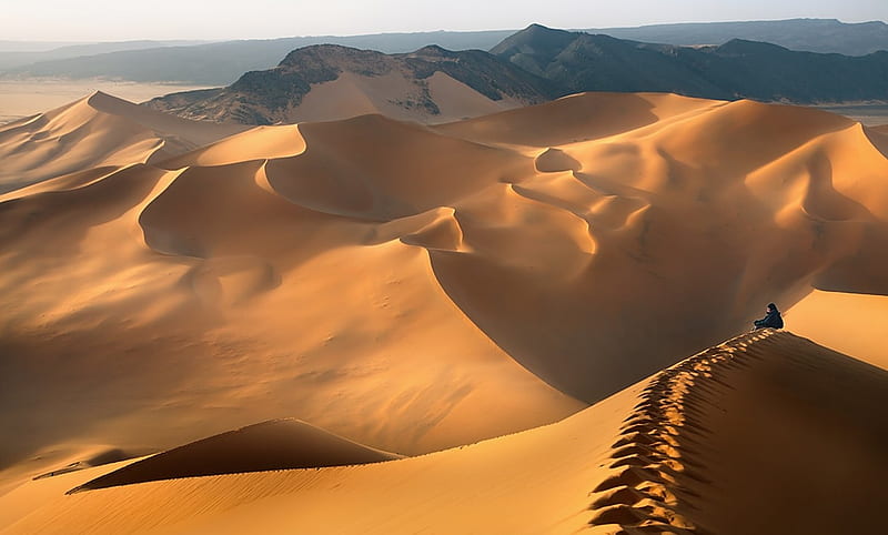 Great Desert, man, sand, nature, desert, HD wallpaper