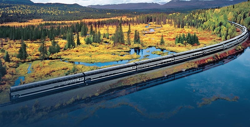 Princess Train Through Denali National Park, mountain, forest, railroad, train, Alaska, river, bonito, HD wallpaper