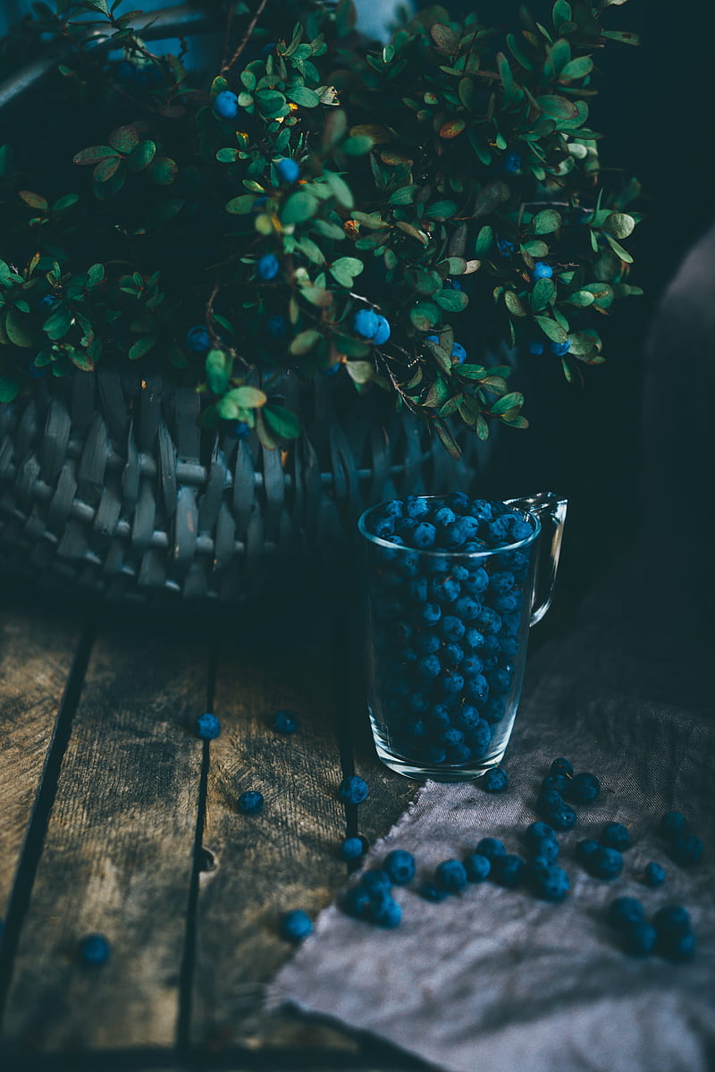 blueberries, berries, glass, basket, bush, HD phone wallpaper