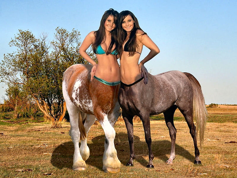 hembra, centauros gemelos, modelos, vaquera, rancho, divertido, al aire lib...